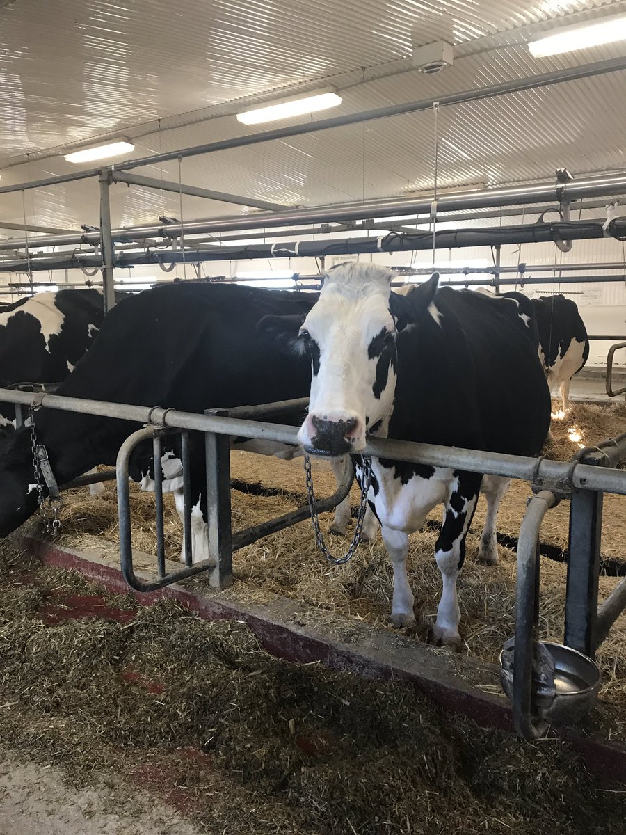 carissa_schure's tweet photo. Had a great time at #OpenFarmDay2017 touring one of FCC's customers dairy farm!!  🚜🐄@FCCagriculture @AgMoreThanEver https://t.co/58wYIpxEBt