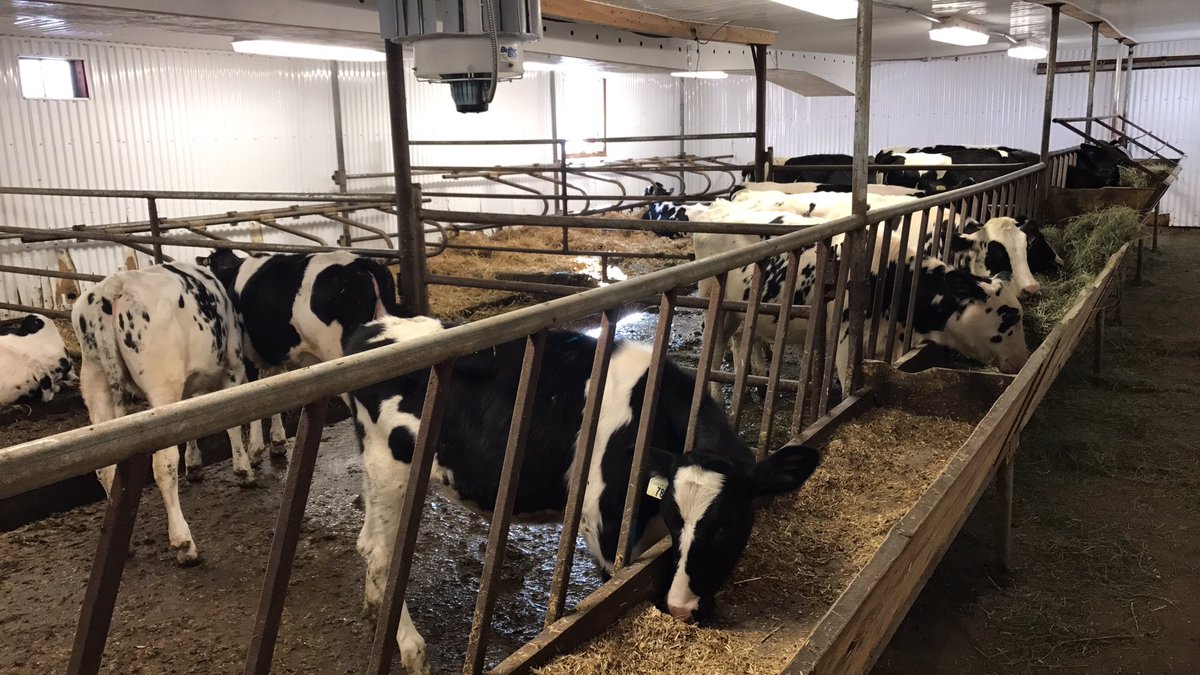 carissa_schure's tweet photo. Had a great time at #OpenFarmDay2017 touring one of FCC's customers dairy farm!!  🚜🐄@FCCagriculture @AgMoreThanEver https://t.co/58wYIpxEBt