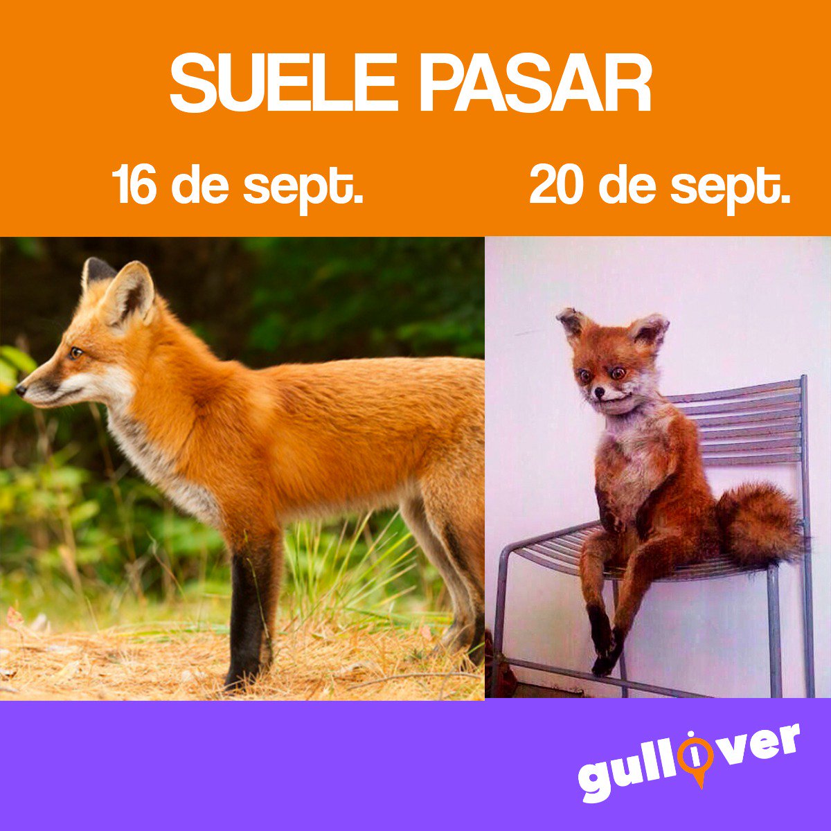 Me siento como 20 de septiembre y estamos a 18 recién.
¡Feliz 18!