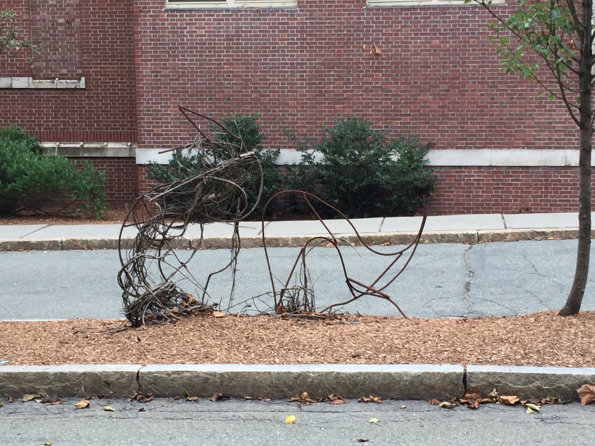 Driscoll Dragon-not much left of 2104 Arts Equinox installation. That's the point of the decomposing media.