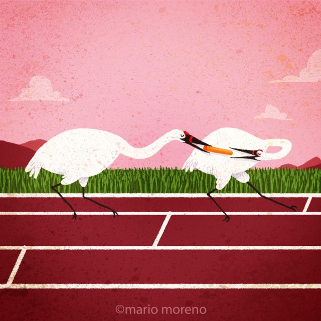 morenoarte's tweet photo. W is for Whooping Crane! #AnimalAlphabets @AnimalAlphabets #MarioMoreno https://t.co/nfn52TFs9K