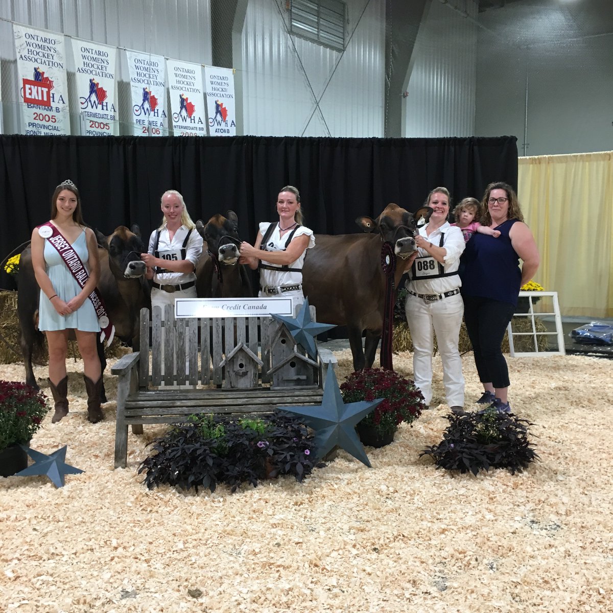 Intermediate champions with Charlyn Impression Bindy taking grand. #jersey #stratfordshow