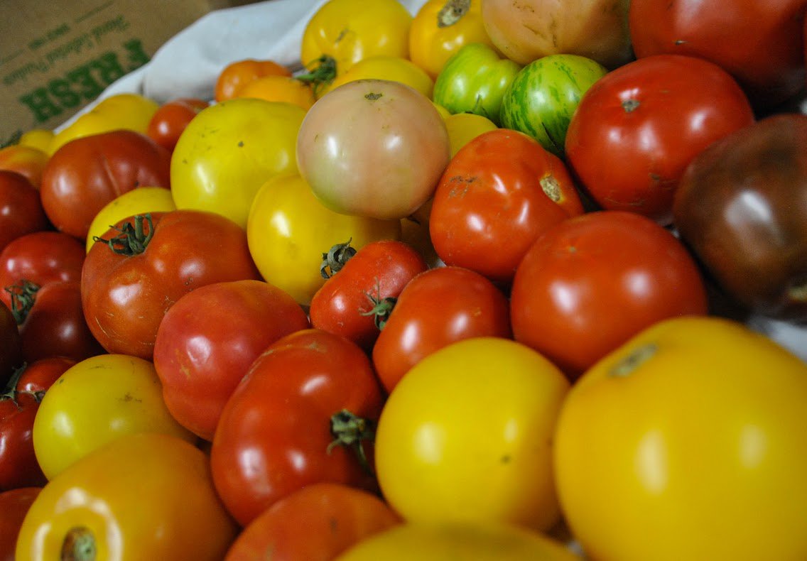 Our gardens splendour  😍