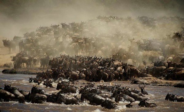 digitalps's tweet photo. 5 Big Tips to add Impact and Variety to your Wildlife Images https://t.co/XSP4GsBk4l https://t.co/1yusXemwV3