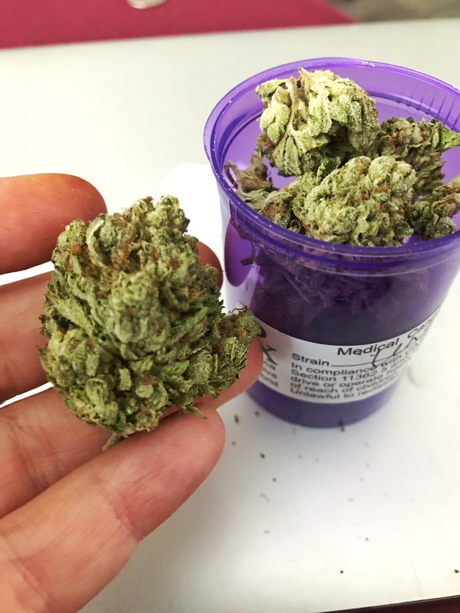 andymilonakis's tweet photo. Papers, glass or backwoods/blunts? https://t.co/nldfBjBRRv