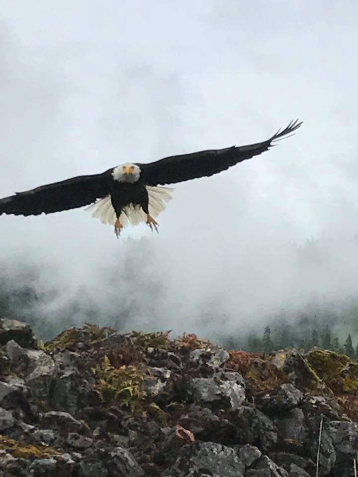 TravelingTerps's tweet photo. Where would you rather be this Monday? We'd go back to the Alaska cruise! https://t.co/FN14EZRFiy