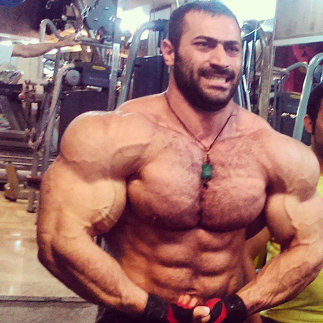 pacocutler's tweet photo. #PouriaPayoona #massive #indianBodybuilder #bearded #bodybuilder #bigbodybuilder #massivechest #thickmuscle https://t.co/fZGFUrgY55
