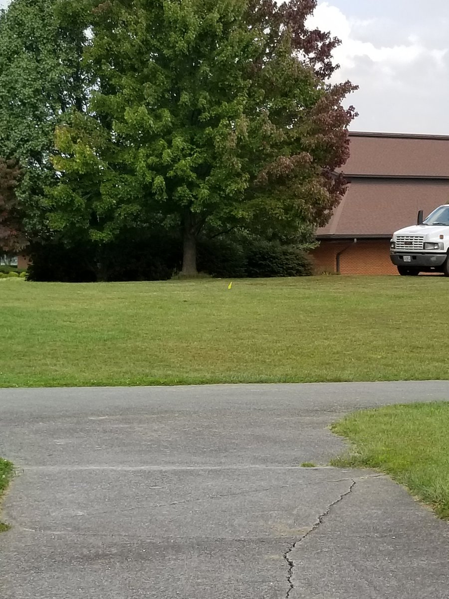 Justin Raymond tweet media