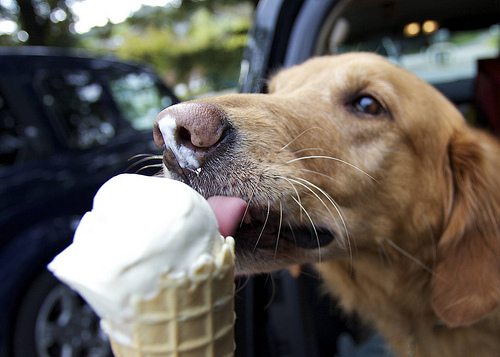 Luckysbaltimore's tweet photo. We know it feels like Summer is ending, but it's never too late in the season for Ice Cream!
#baltimore #thebestofluck #icecream https://t.co/y0vRQ7Ig15