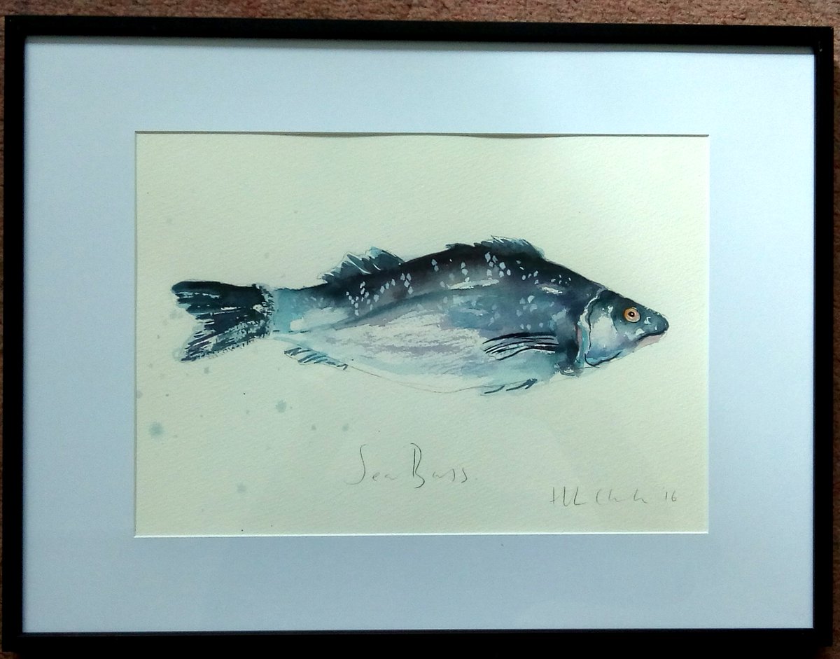 hannahlclark's tweet photo. Fishes also need a home - https://t.co/3qHZn7UGEa @artfinder #arfinder #art #watercolour #fish #artist https://t.co/CSH5CjDYGh