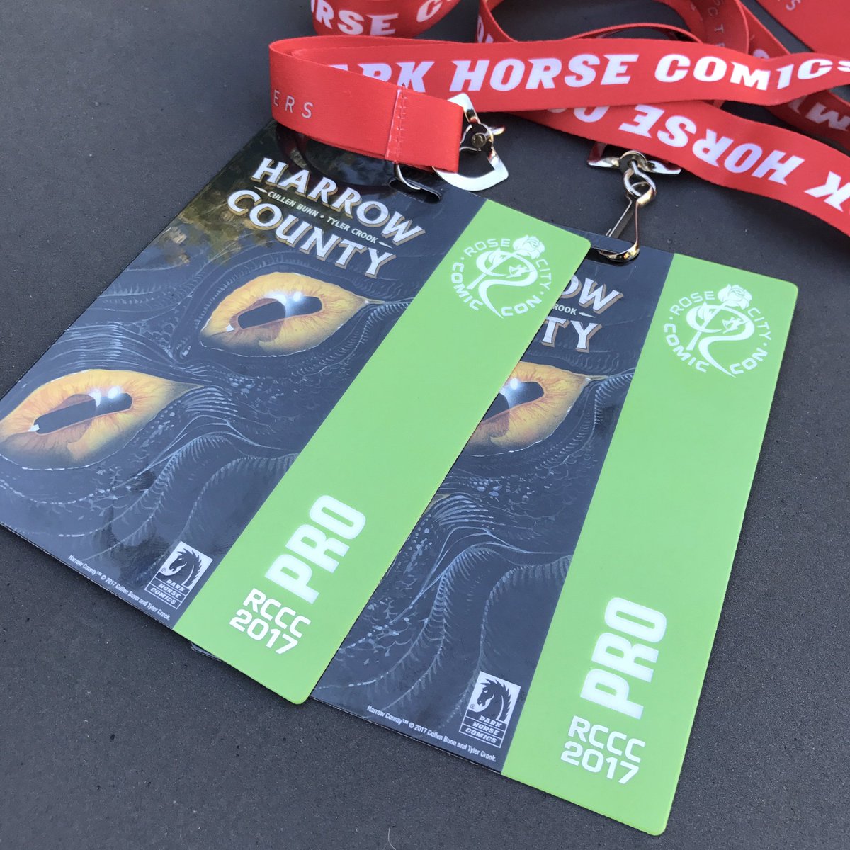 KimOfAllTrades's tweet photo. Pix from #RCCC17 https://t.co/bsDmW5YOs8