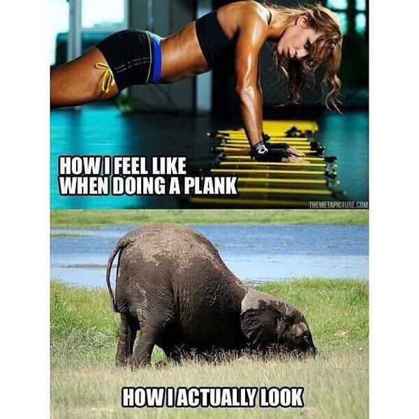 apolonfitness's tweet photo. Happens to me all the time https://t.co/ckMMGu9QBy