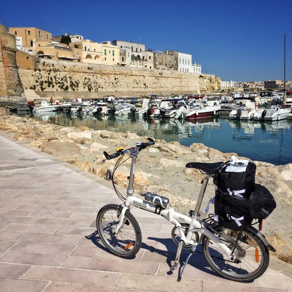 dahonbicycles's tweet photo. Stunning picture shared on the DAHON Facebook page by Isbesel Carmona 🚲 Original post here 👉 https://t.co/G1lisfjaIB https://t.co/gGG29WNVtU