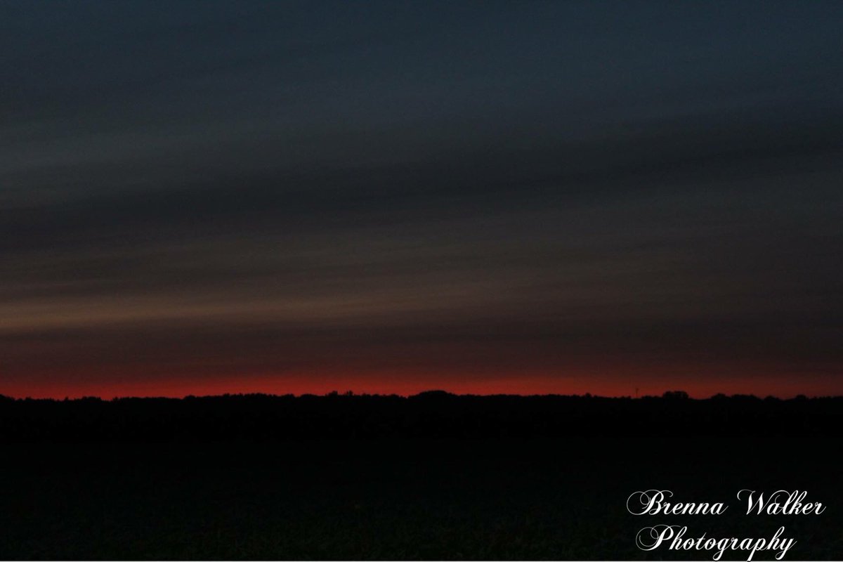 BrennaWalker16's tweet photo. My photography, a thread💗🌞 https://t.co/K1p0FA52xX