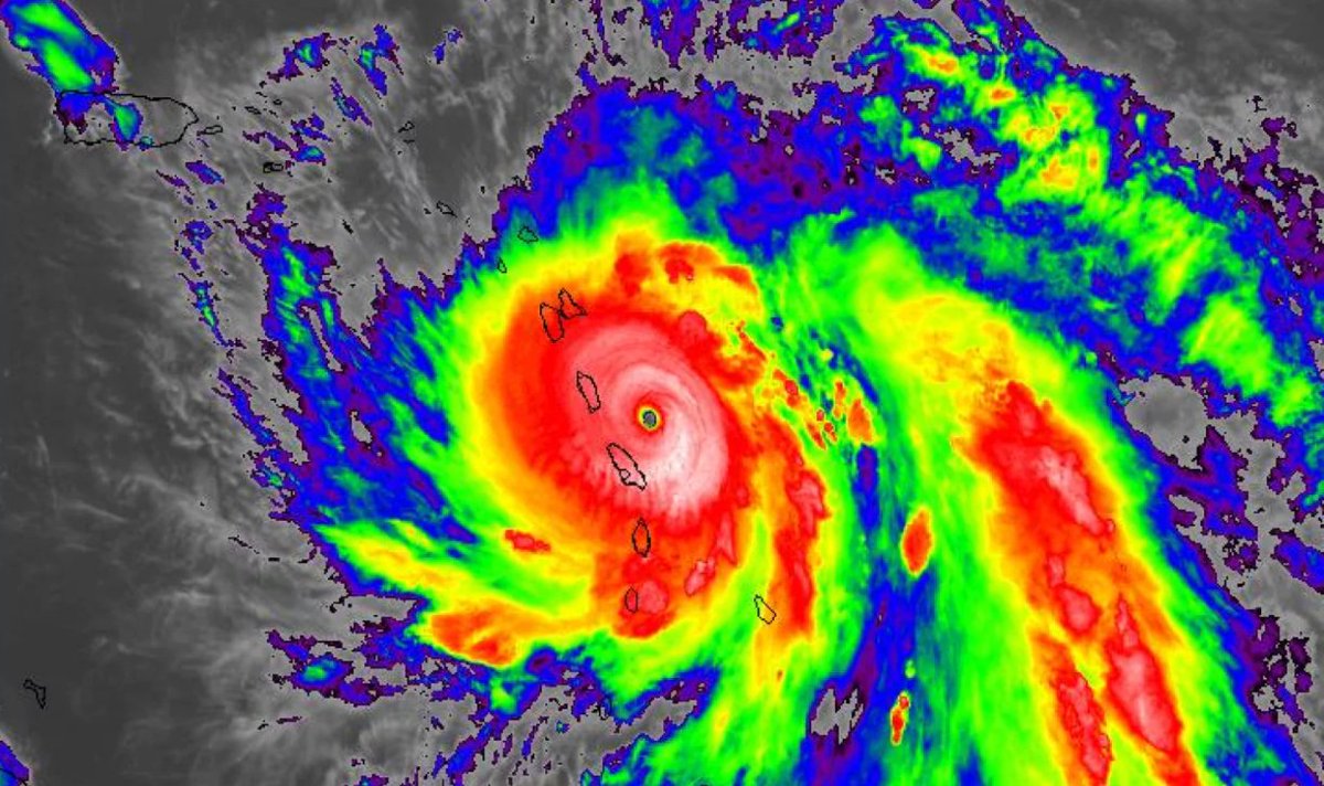 View image on Twitter