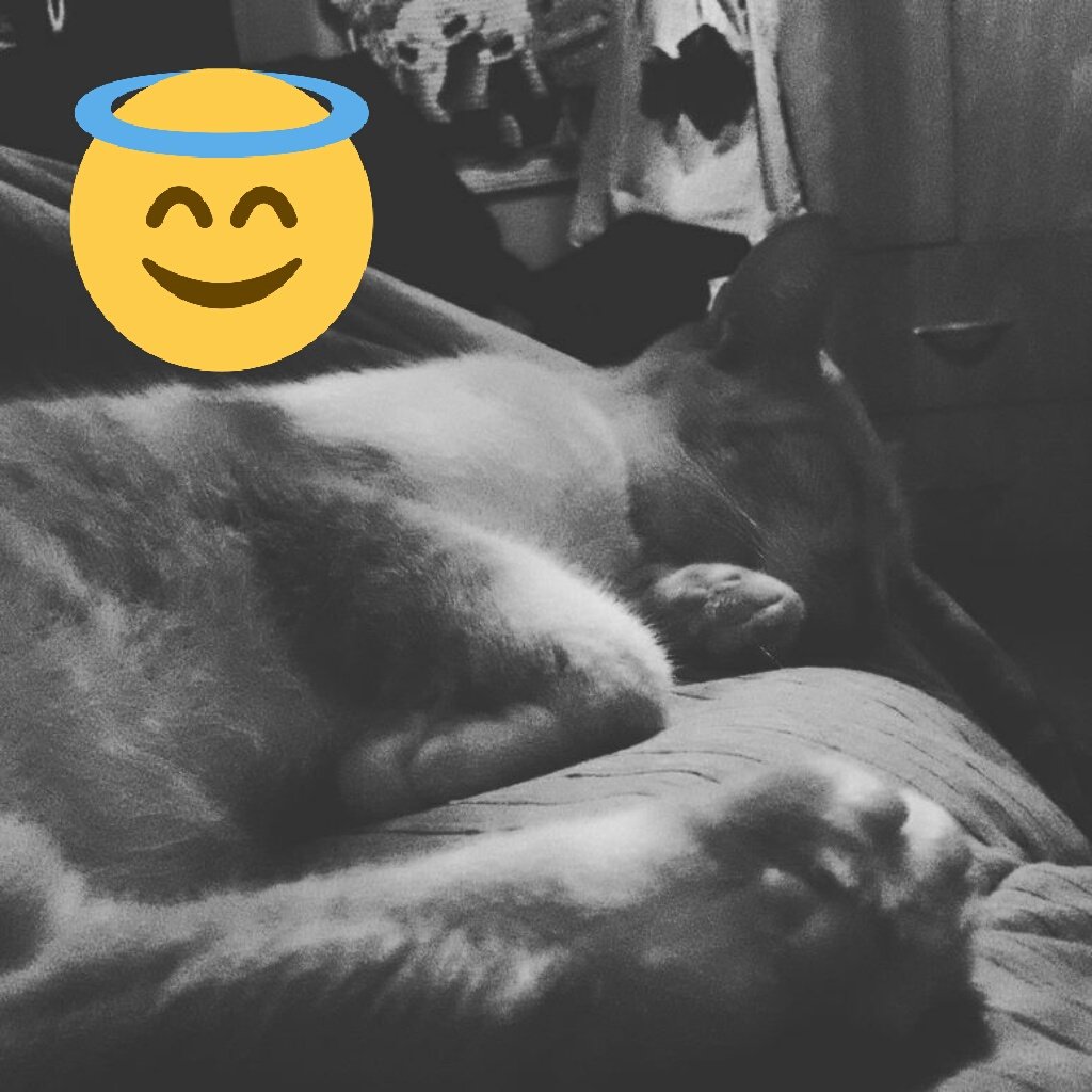 Male1985Mb's tweet photo. https://t.co/vVJC0GwqXX