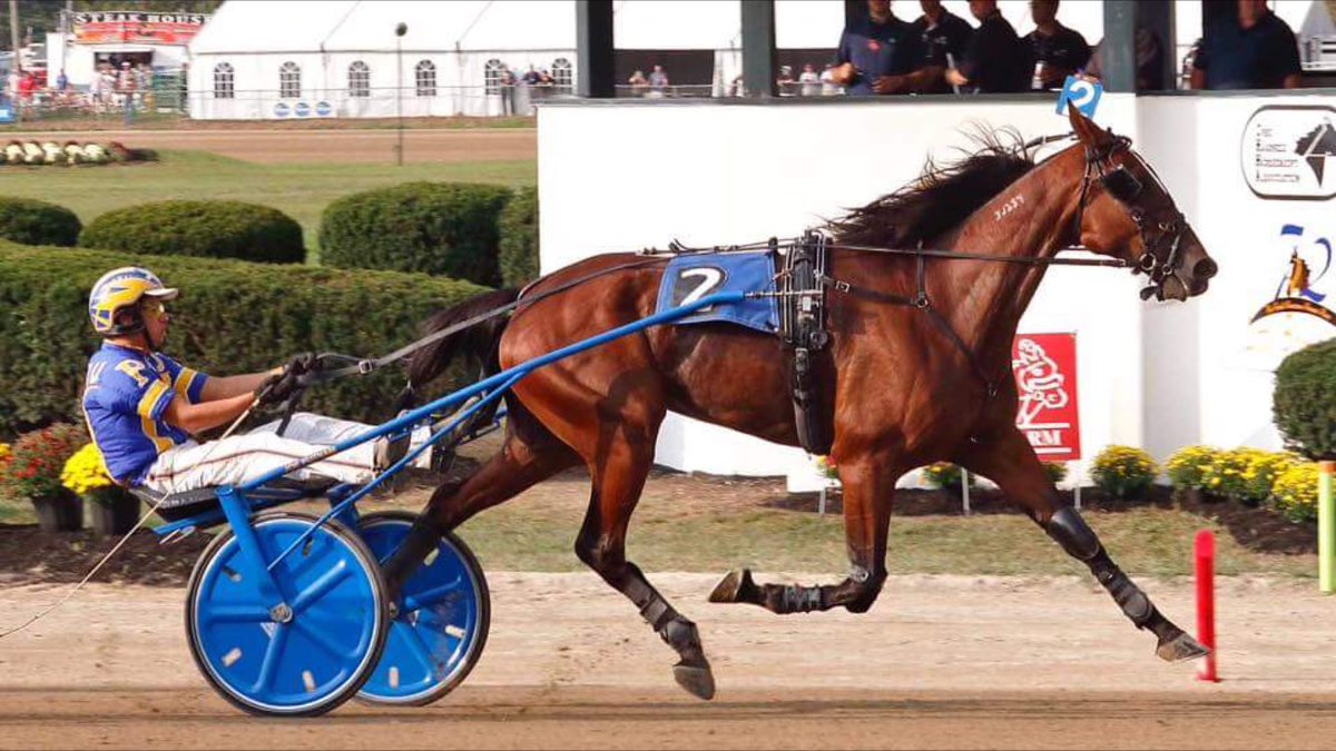 joeyputnam13's tweet image. Frank did it again!!  Won the signature series final today in Deleware in 57.2 this horse has been a blessing. #jugweek