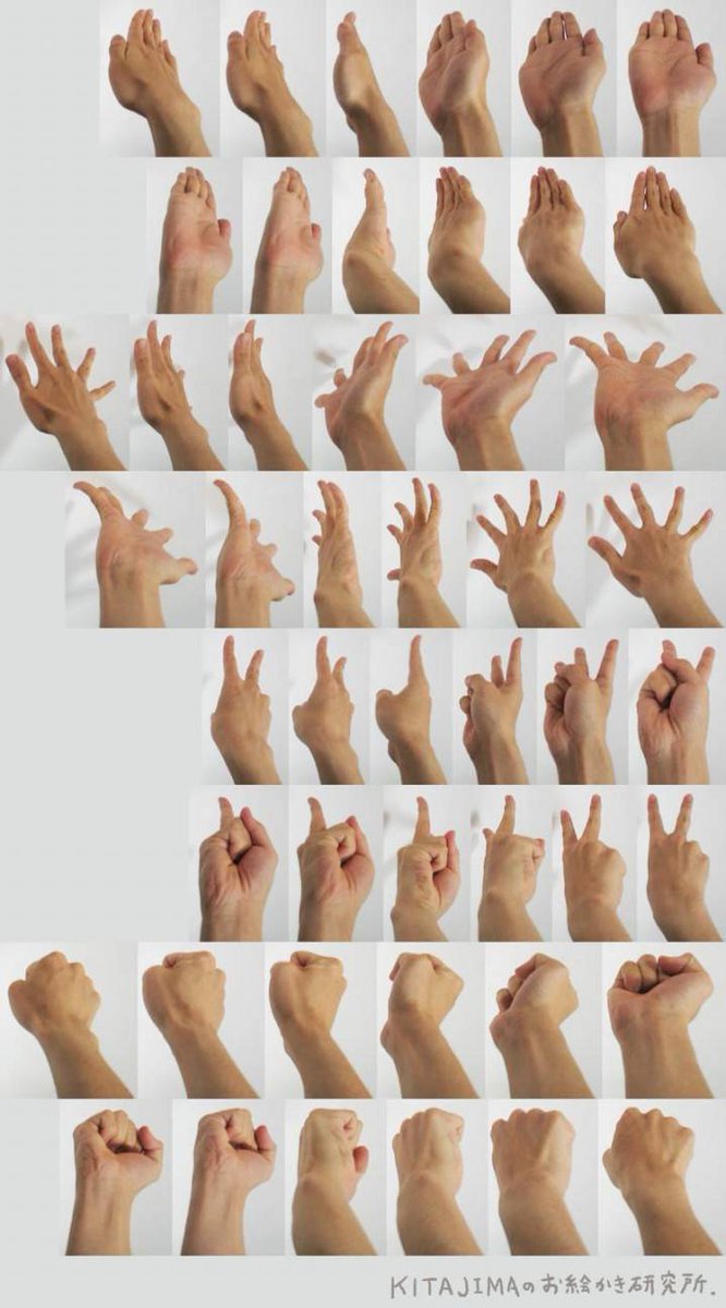 PaintingColleg's tweet photo. #PaintingColleg  
Hand
BY KITAJIMA绘画研究所 https://t.co/OcAKS4ZmVm