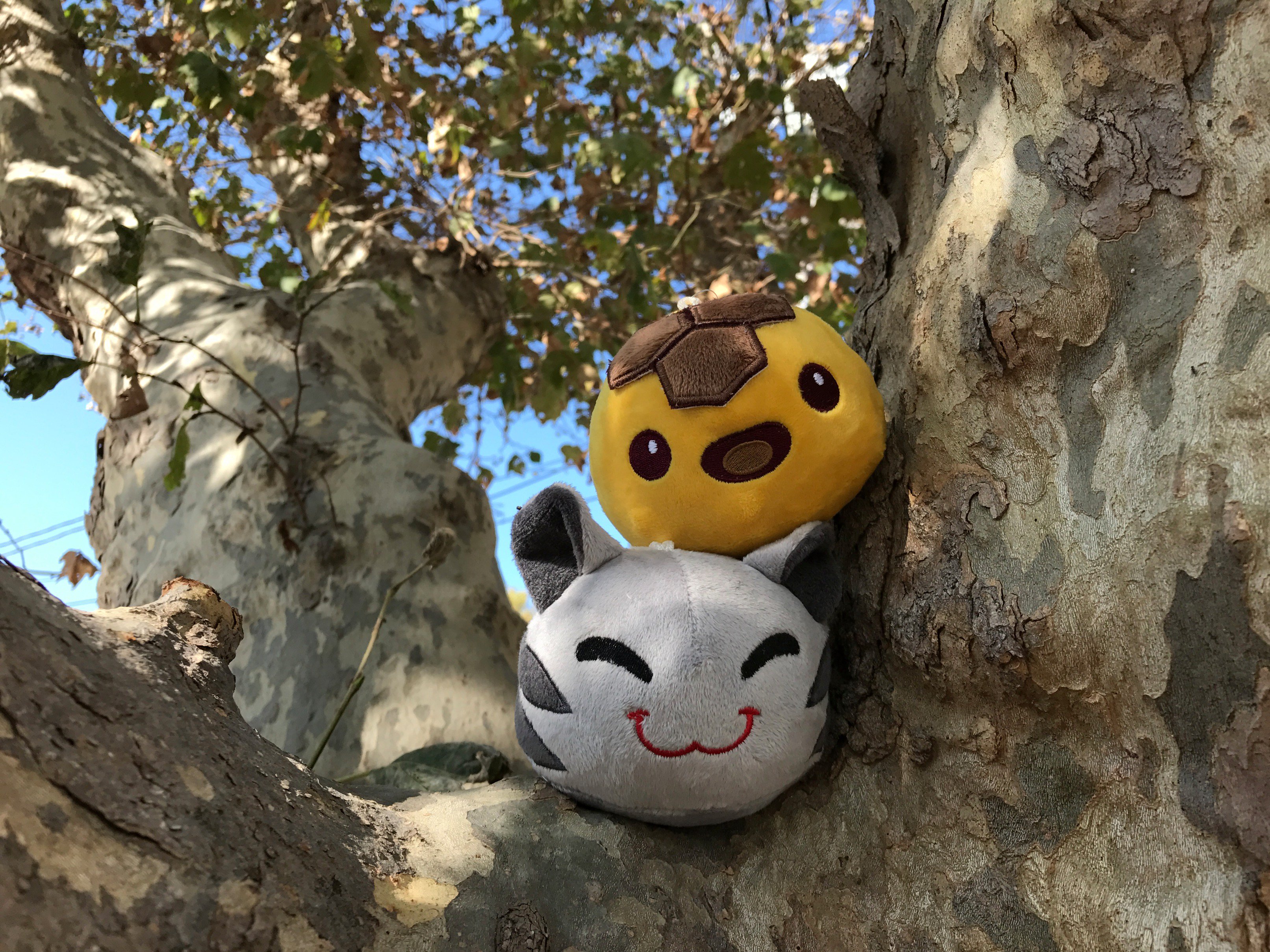 Monomi Park on X: A second batch of super best buds, Honey and Tabby Slime,  are now available for pre-order!  #SlimeRancher  #Plushies  / X