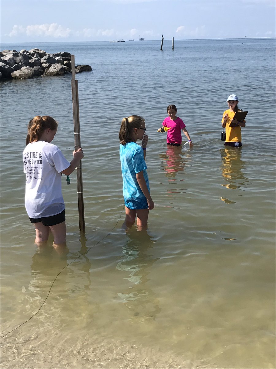 MichelleLovSmit's tweet photo. Oceanography learning and fun!
#AISDauphinIsland2017 #aisproud #aisathens https://t.co/CUAO5u5bUk