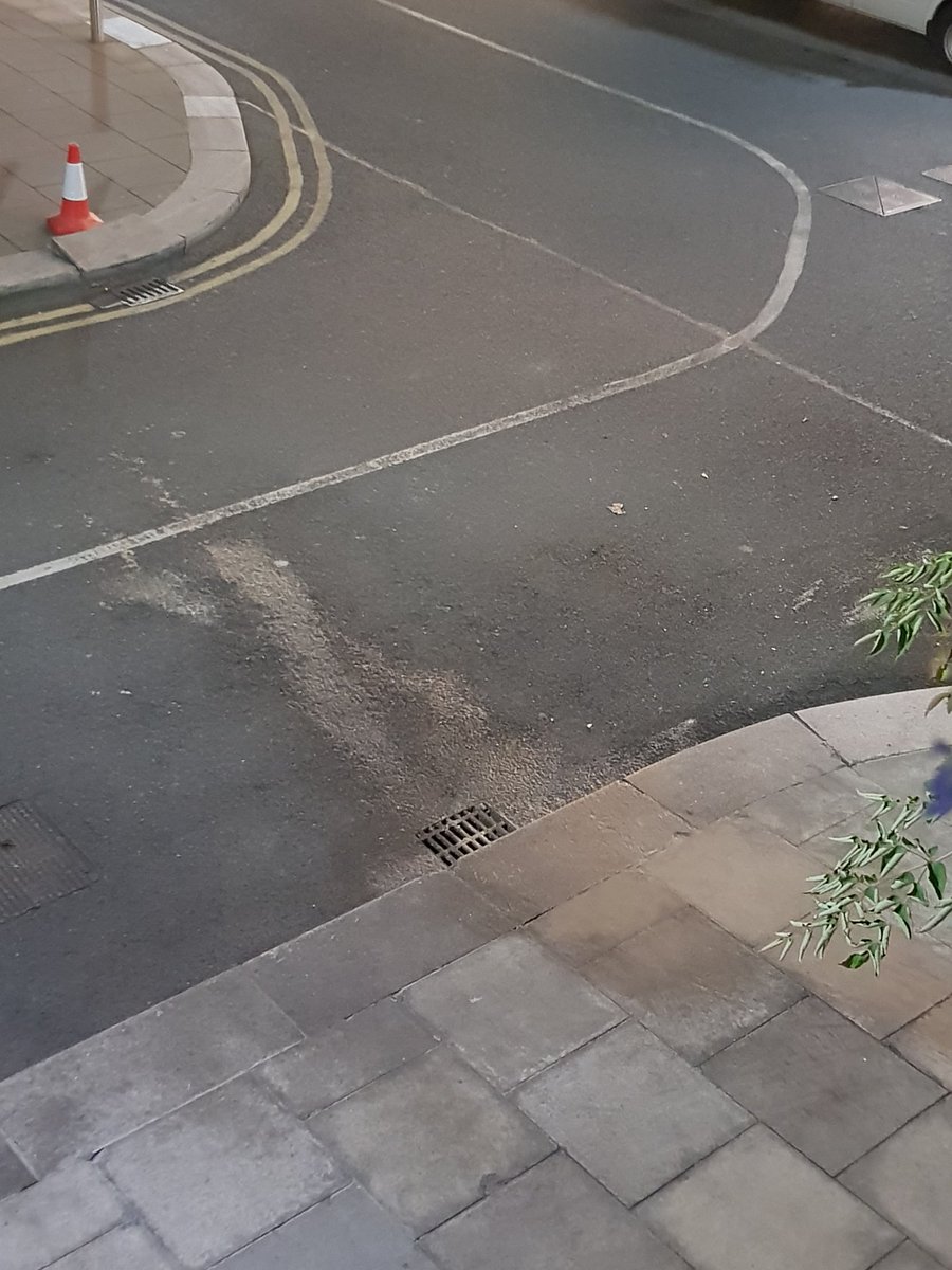 Forbes_Quay's tweet photo. @towger3 Unfortunately they won't do it! We have been trying to have this cleaned for over a year:((
This is from today- more waste on top of waste.. https://t.co/arsmJGYfbi