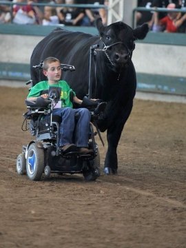 WVDeptofAg's tweet photo. This is what @4H is all about! #GoAlec #CowWhisperer https://t.co/pddE23Ocni https://t.co/6rrjZJqGm5