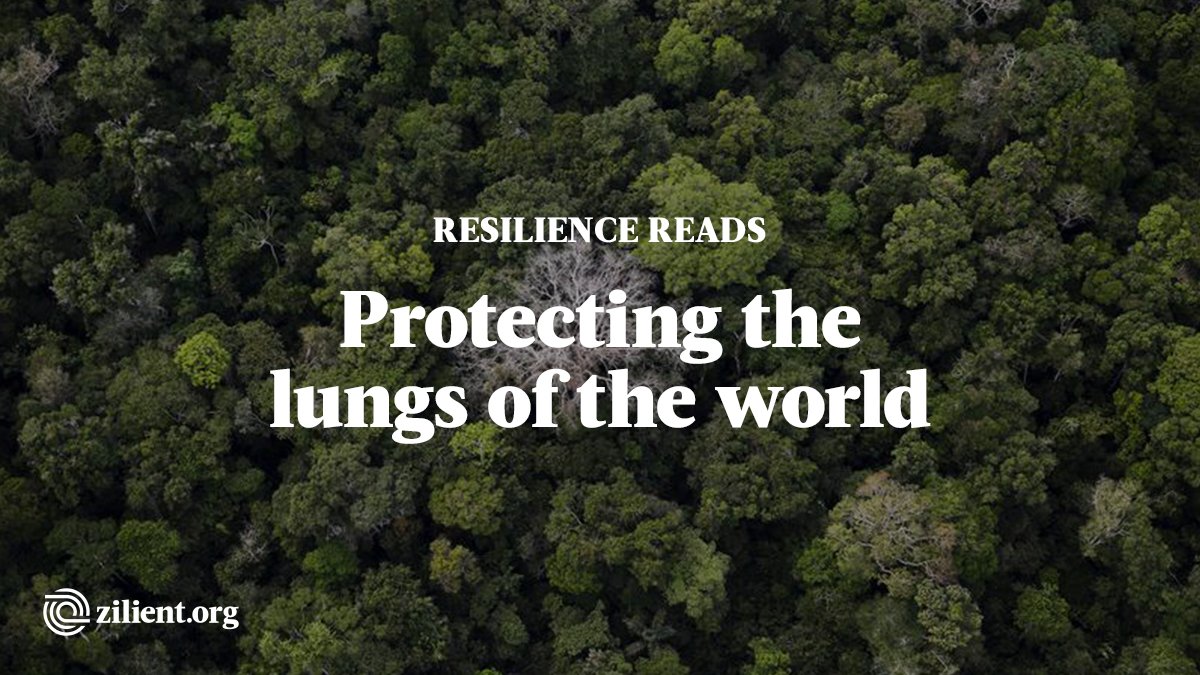 Locals protect the lungs of the world in #Peru: What are your #resiliencereads? bit.ly/2xZxd3Y