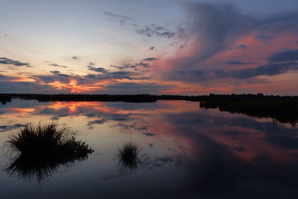 Ssunshot's tweet photo. #Groningen #Leekstermeer #Zonsondergang #18September2017
@Wnlvandaag @Helgavanleur @Mooieluchten @Mooielucht @BuienRadarNL @Rtvnoord https://t.co/T0rnhOCRDu
