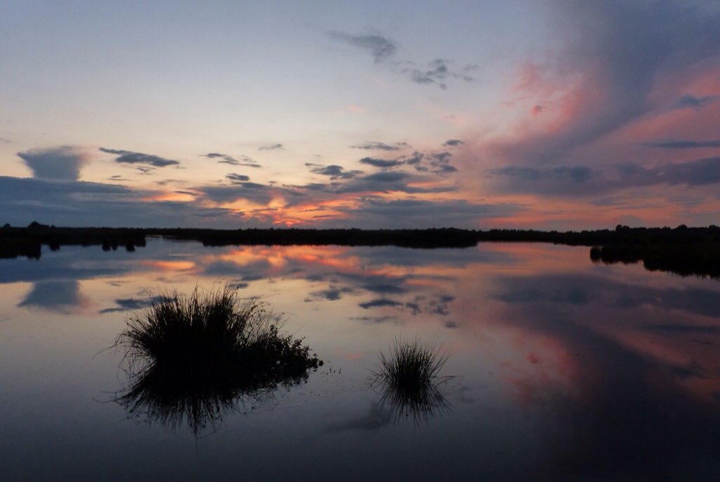 Ssunshot's tweet photo. #Groningen #Leekstermeer #Zonsondergang #18September2017
@Wnlvandaag @Helgavanleur @Mooieluchten @Mooielucht @BuienRadarNL @Rtvnoord https://t.co/T0rnhOCRDu