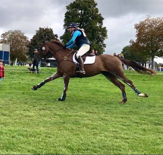 ThBalancedRider's tweet photo. More great shoots of sponsored eventer @SLHEventing @BEventing @BlenheimHorse CCI*** @EventingWWNEWS @localridermag @HorseHour https://t.co/neqBy55l7M