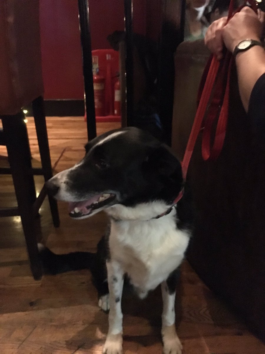 StrathFencing's tweet photo. Still thinking of starting fencing or are you an experienced fencer thinking of joining us. Come and meet us at @BarHomeGlasgow We have dog https://t.co/aiX3APLXc0