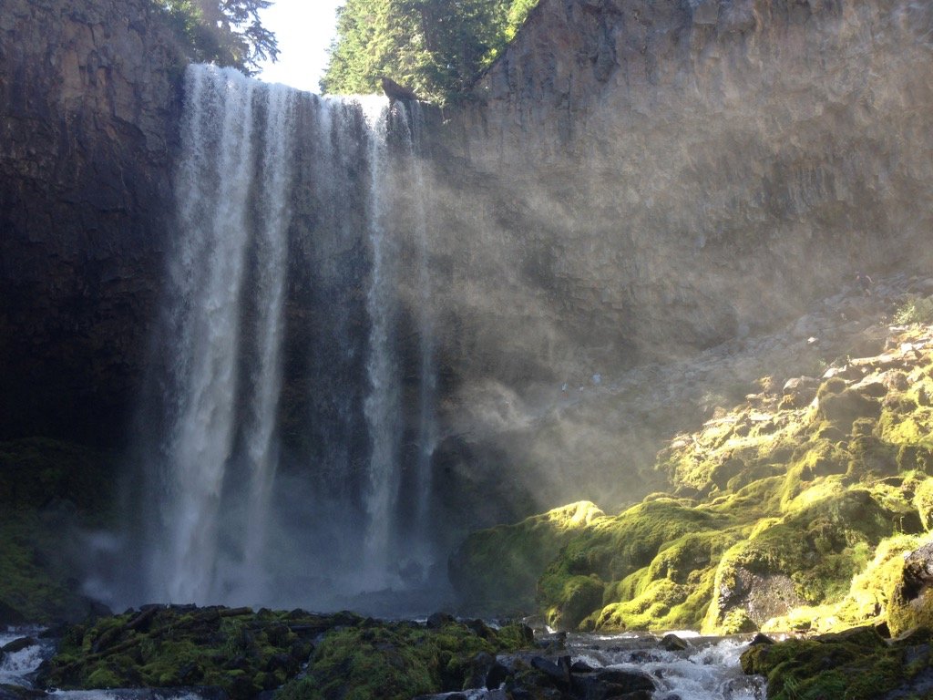 PNWPics1's tweet photo. Tamawanas Falls near @mthoodmeadows Beautiful place for a hike! #waterfalls #PNW #NaturePhotography https://t.co/6imFwWNFik