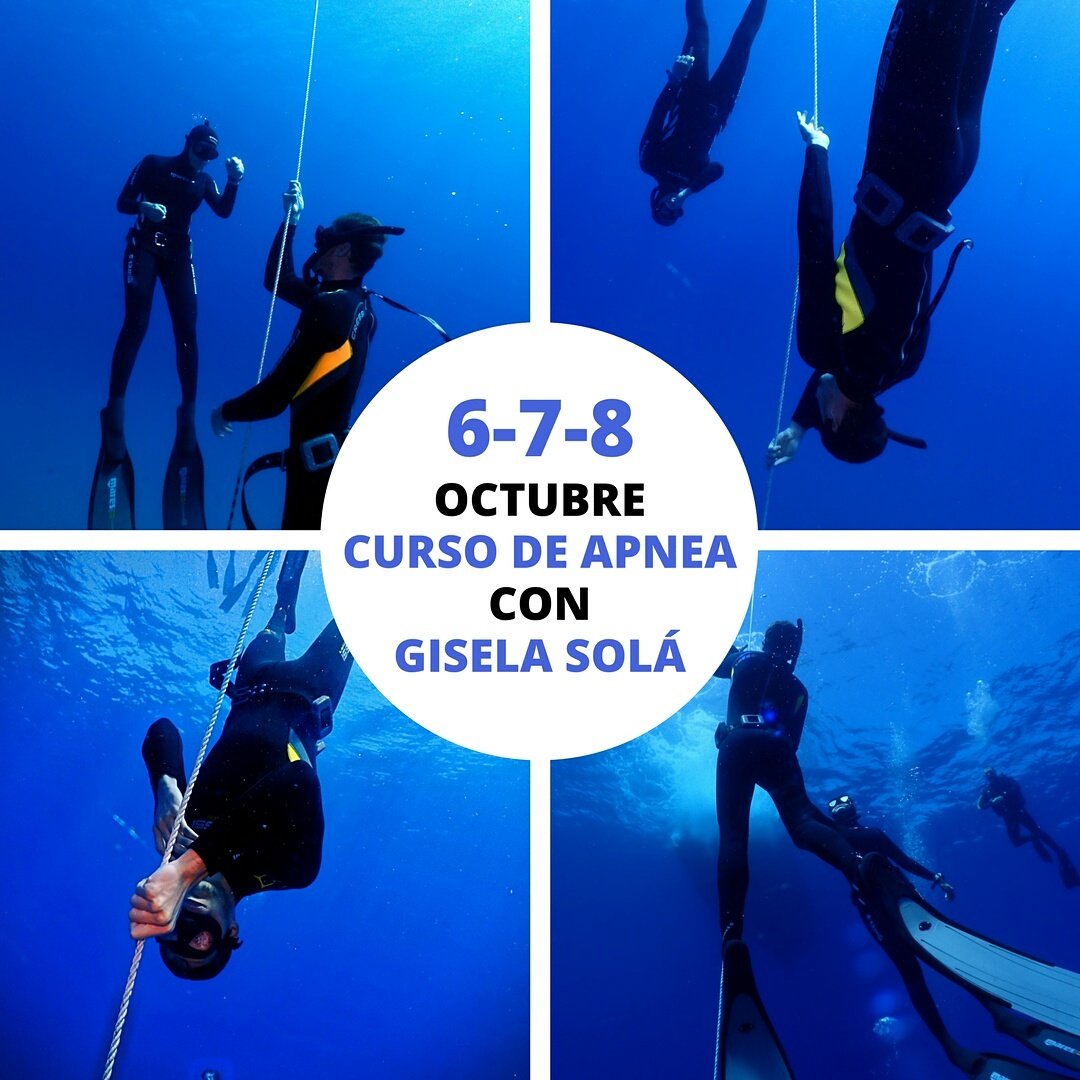 VanasDive's tweet photo. 6-7-8 Octubre!! Repetimos curso de #Apnea con la campeona Gisela Solá #vanasdive #buceo #Barcelona https://t.co/pRRLouP9Pv