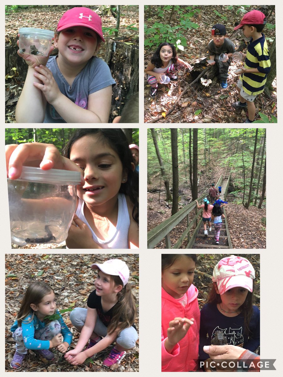 Sonia Hamilton tweet media