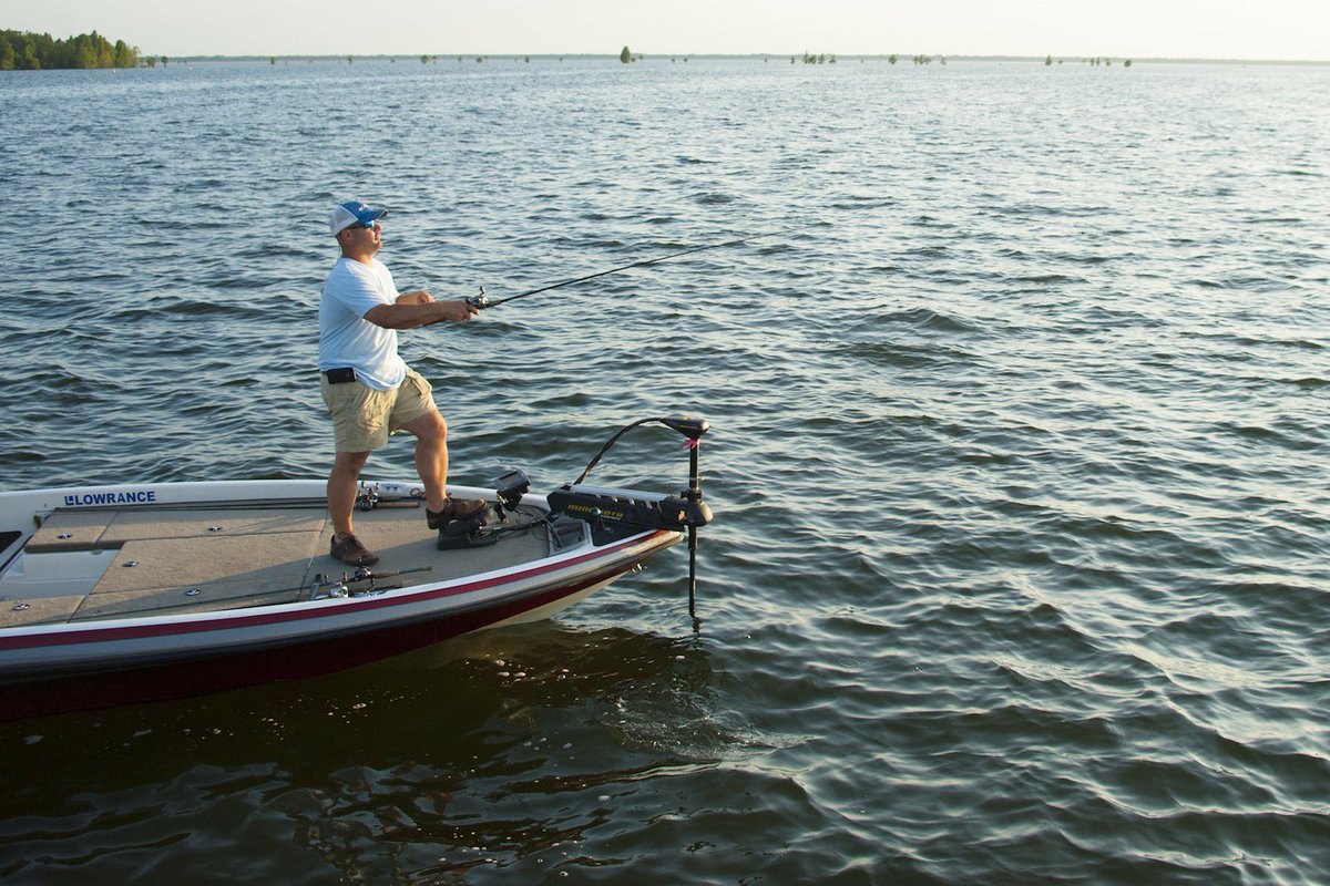 santeecooper's tweet photo. #SanteeCooperLakes rank in the top 10 for best bass lakes in the country! Explore today. https://t.co/Ib0jexBdhl #SouthCarolina #LifeinSC https://t.co/ApvOUd4GLS