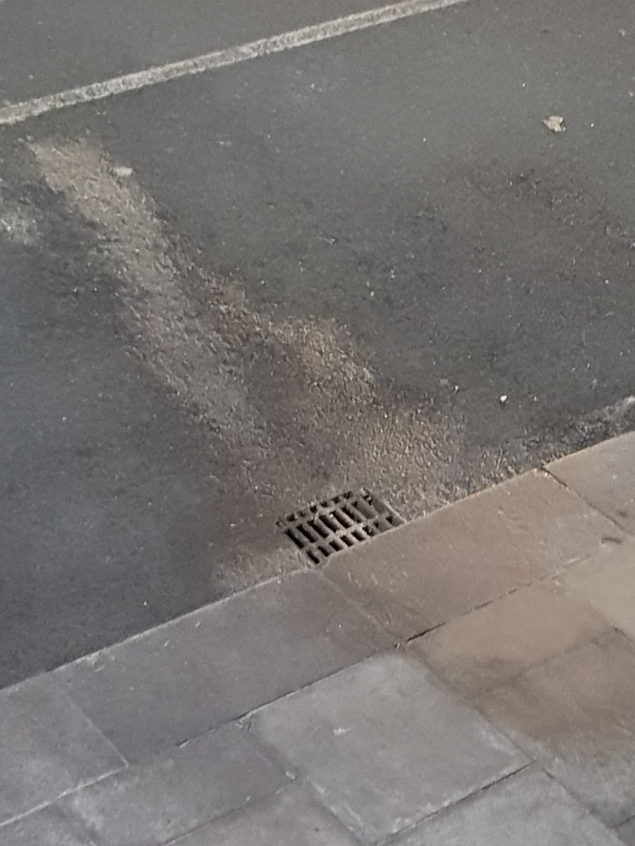 Forbes_Quay's tweet photo. @DubCityCouncil these drains are rain water drains and this food contamination goes back to Liffey. Thanks @finkd @facebookdublin 18 Sept'17 https://t.co/kIb0VzQhnH