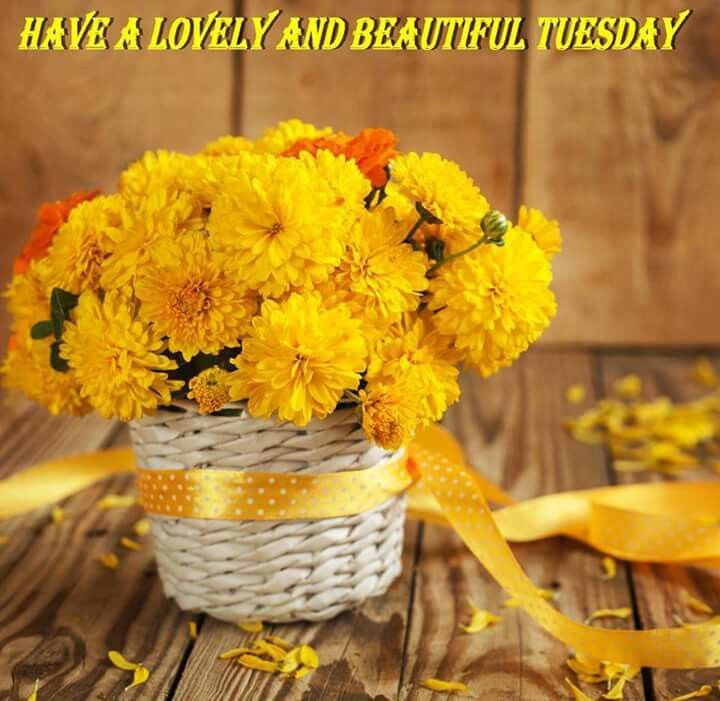 ranigill7's tweet photo. #GOODMORNING #WOW!!!
#NEW DAY TUESDAY #19thSEP
#WELCOME
#WISHING YOU ALL A WONDERFUL DAY N WEEK
#BE HAPPY
#BE BLESSED
#CHEER https://t.co/UOAjfhjVWi