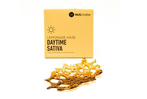 BrandNug's tweet photo. Happy #Shatterday! have you tried our #lemonadehaze? #nug #nugshatter #sativa
https://t.co/IbbO2hikl2 https://t.co/zqxE3Gl1a6