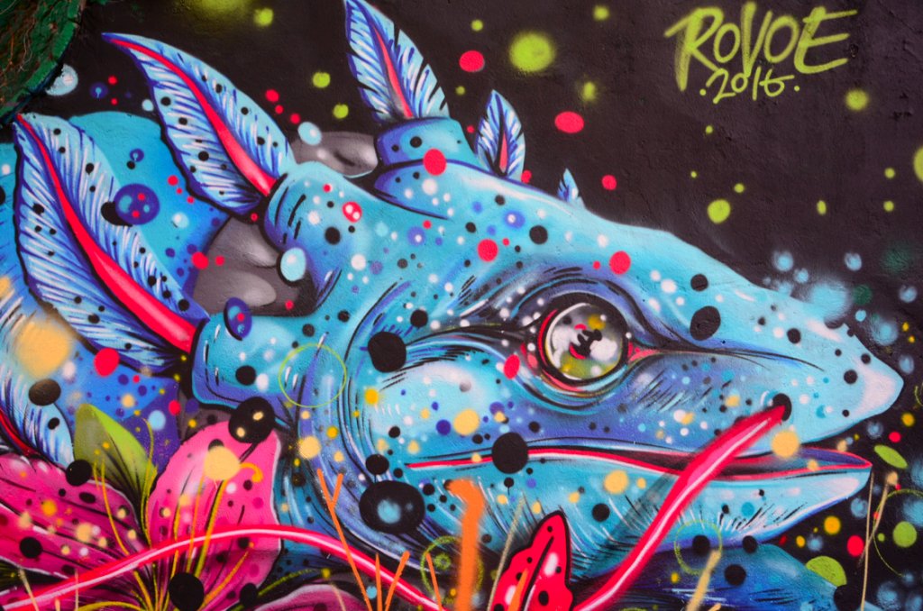 RevistaPICNIC's tweet photo. #Crackets® : El Graffiti como un estilo de vida. ¿Te late el Graffiti? Checa esta nota. https://t.co/ekITYJvWnO
#Diseño https://t.co/0q095yZpif