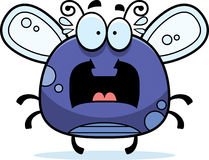 Adam's Pest Solution tweet media