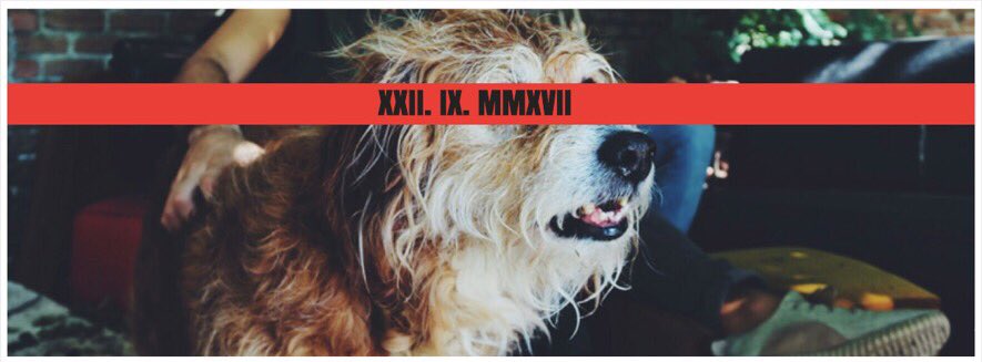 NeutralRust's tweet image. Stay Tuned