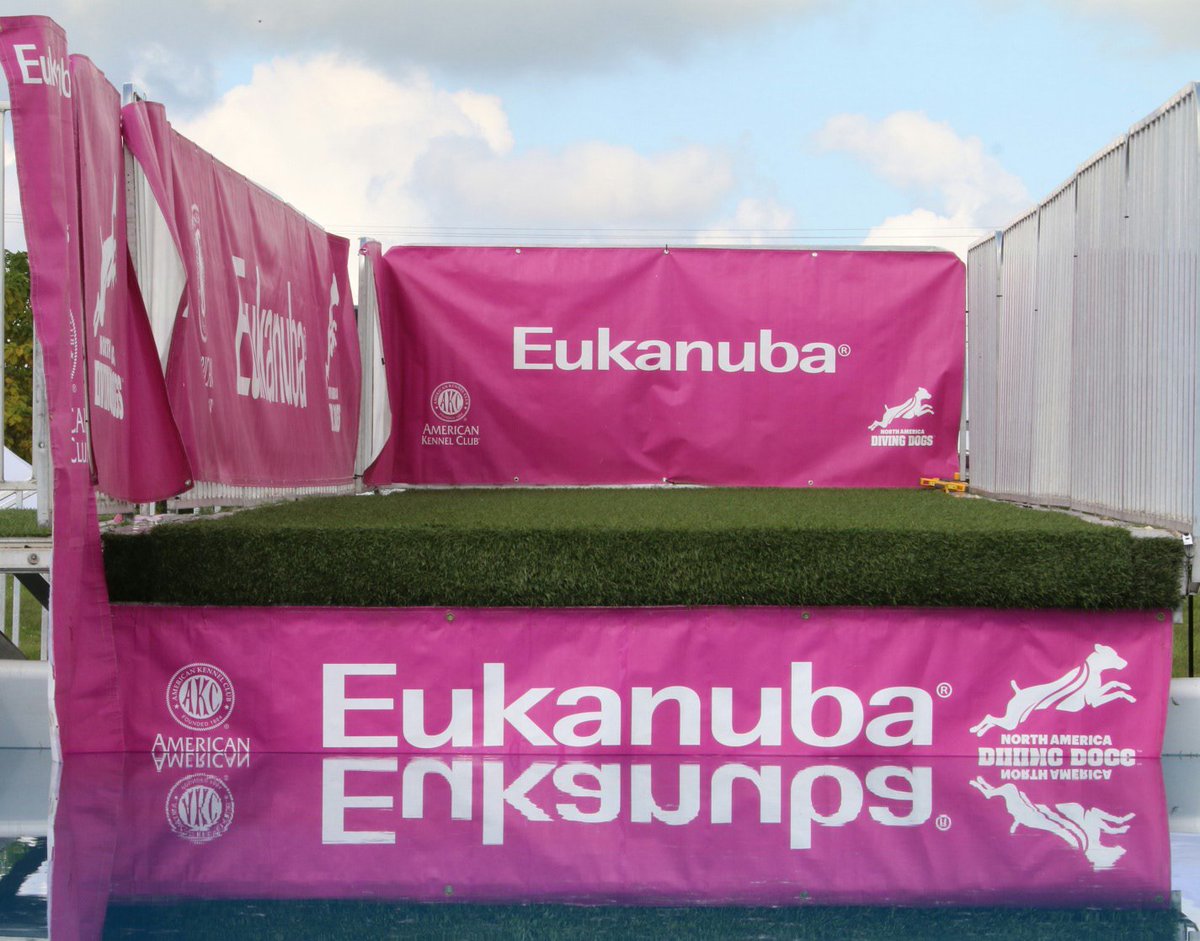BestInShowDaily's tweet photo. Big news, recently was the Eukanuba Dog Performance Event and this article is on the high flying canines in Dock Diving, come check it out! https://t.co/PKA4YYFKjx