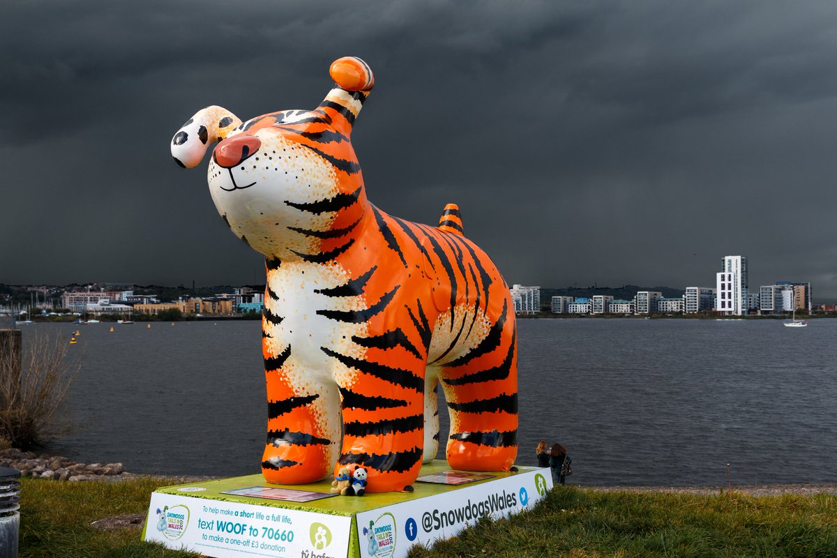 costa_stephie's tweet photo. That Snow Tiger by @EKetteringham under a threatening sky. #SnowdogsWales @SnowdogsWales @VisitCardiffBay 🐼🐻🐕 https://t.co/lMA9VYiVBN