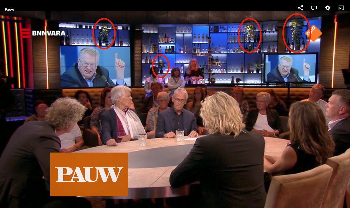 Oké, je moet héél goed kijken, maar ze hangen er echt. Onze #kunstplanten in de studio van @pauwnl #maxifleur #tv #bnnvara #trots