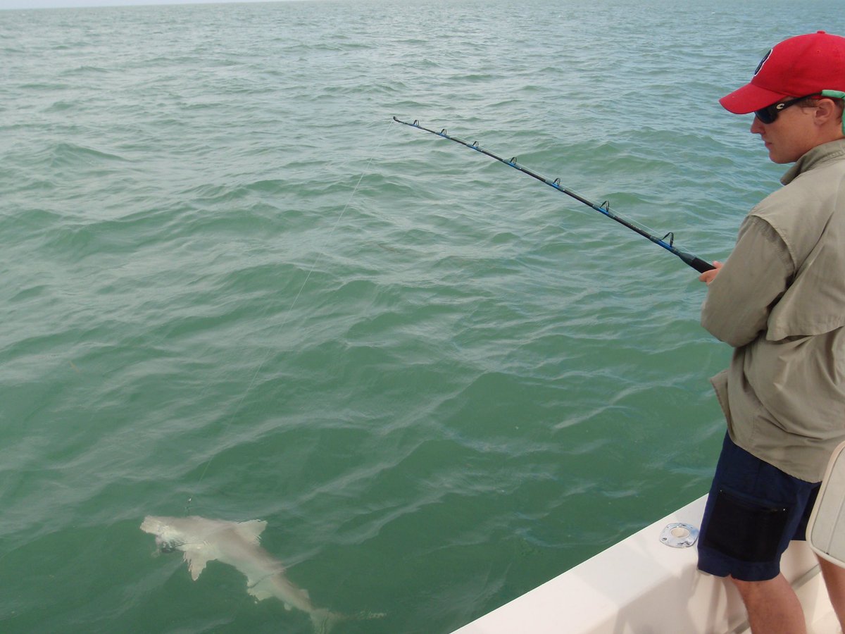 Nick Whitney tweet media