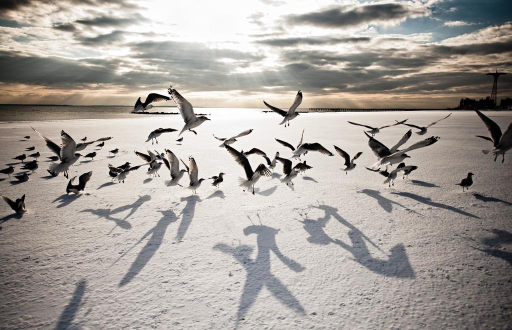 ITAP of shadows falling on a snow-covered beach