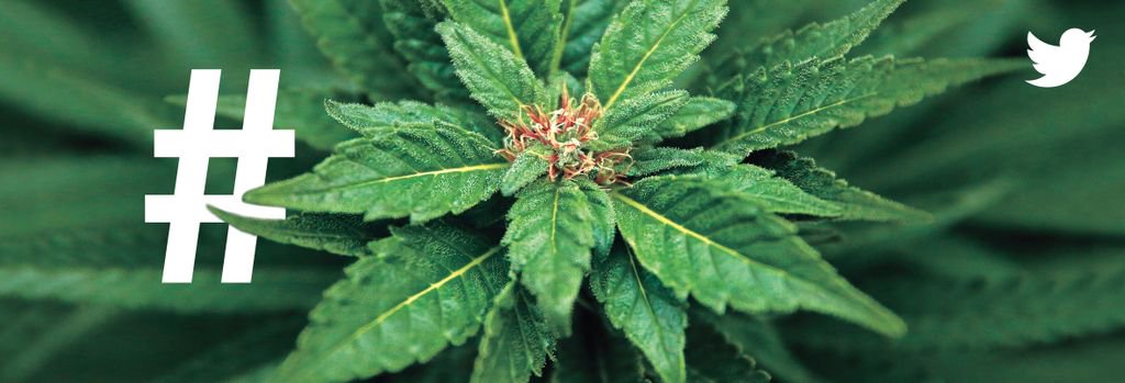 Clio Awards 2017 Gold Winner: Twitter: Cannabis by Twitter j.mp/2wAsYei @ClioAwards 🏆