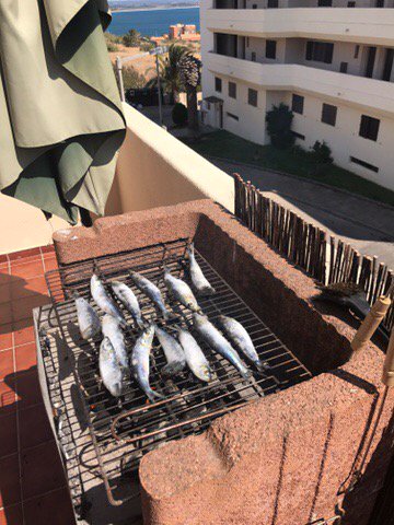YProbiotics's tweet photo. Lunch in Algarve #sardines #eatclean #reduceinflamation #organiceats #omegas https://t.co/I8kWbF6vCU