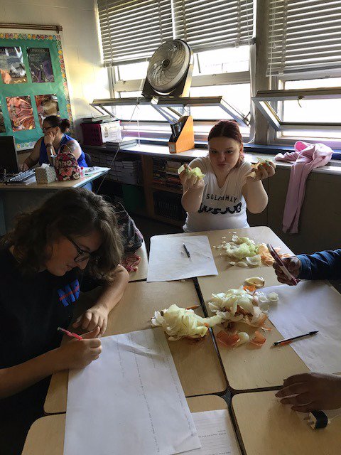 Patapsco Magnet tweet media