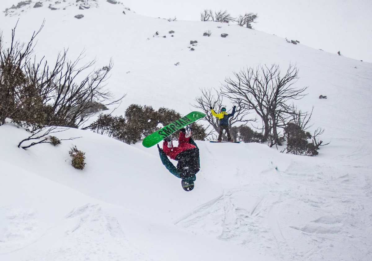 Perisher tweet media